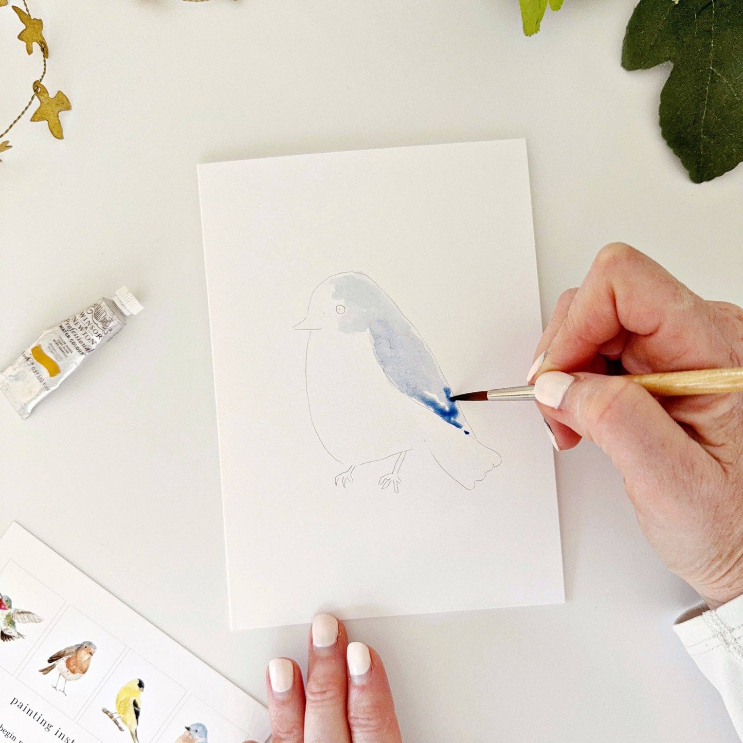 Backyard Birds Watercolor Notecards