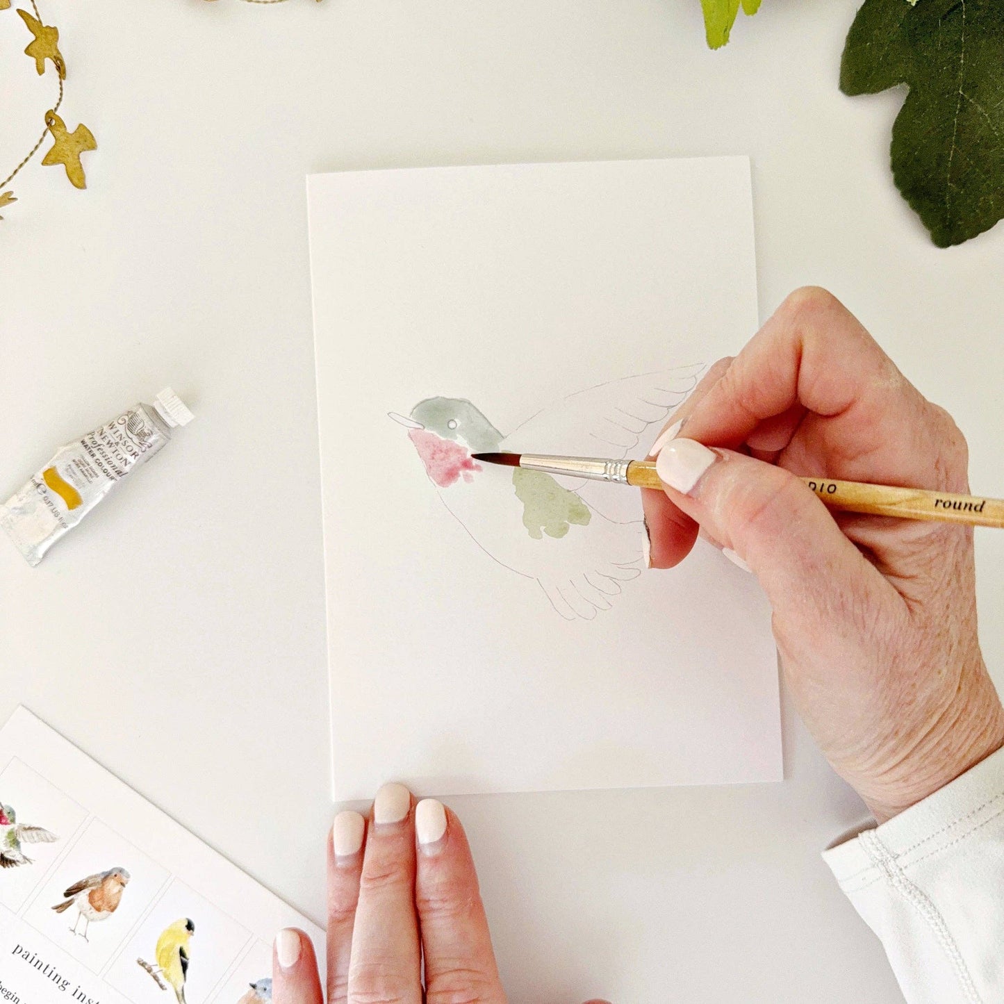 Backyard Birds Watercolor Notecards