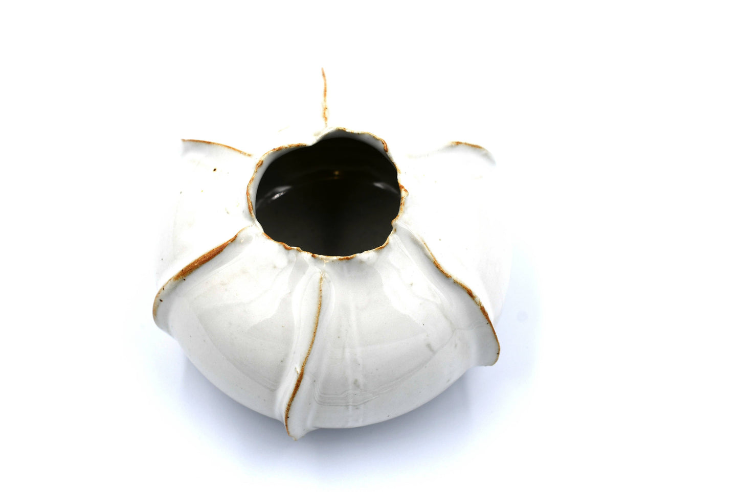 White Rose Apple Decor