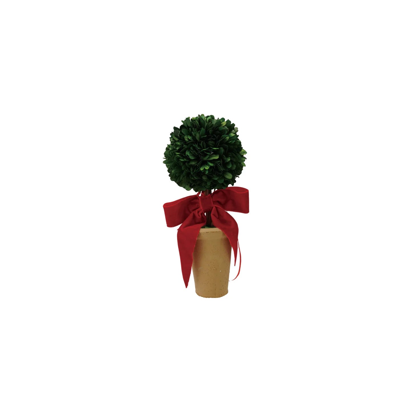 Boxwood Red Bow Pot