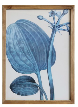 Framed Blue Botanicals