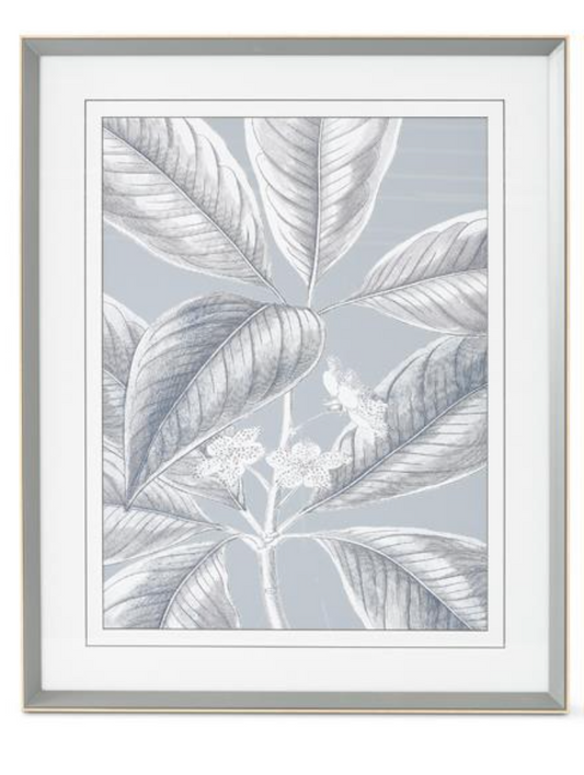 Grey White Botanical