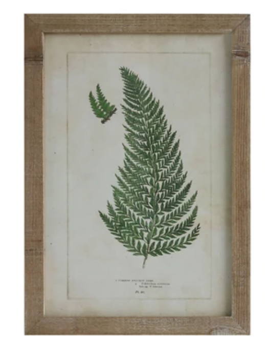 Fronds Framed Wall Decor